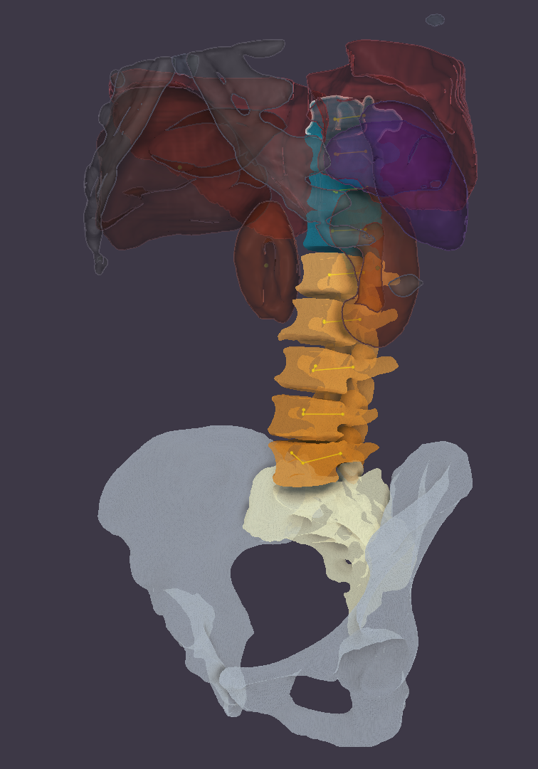 ../_images/AnatomyScreenshot.png