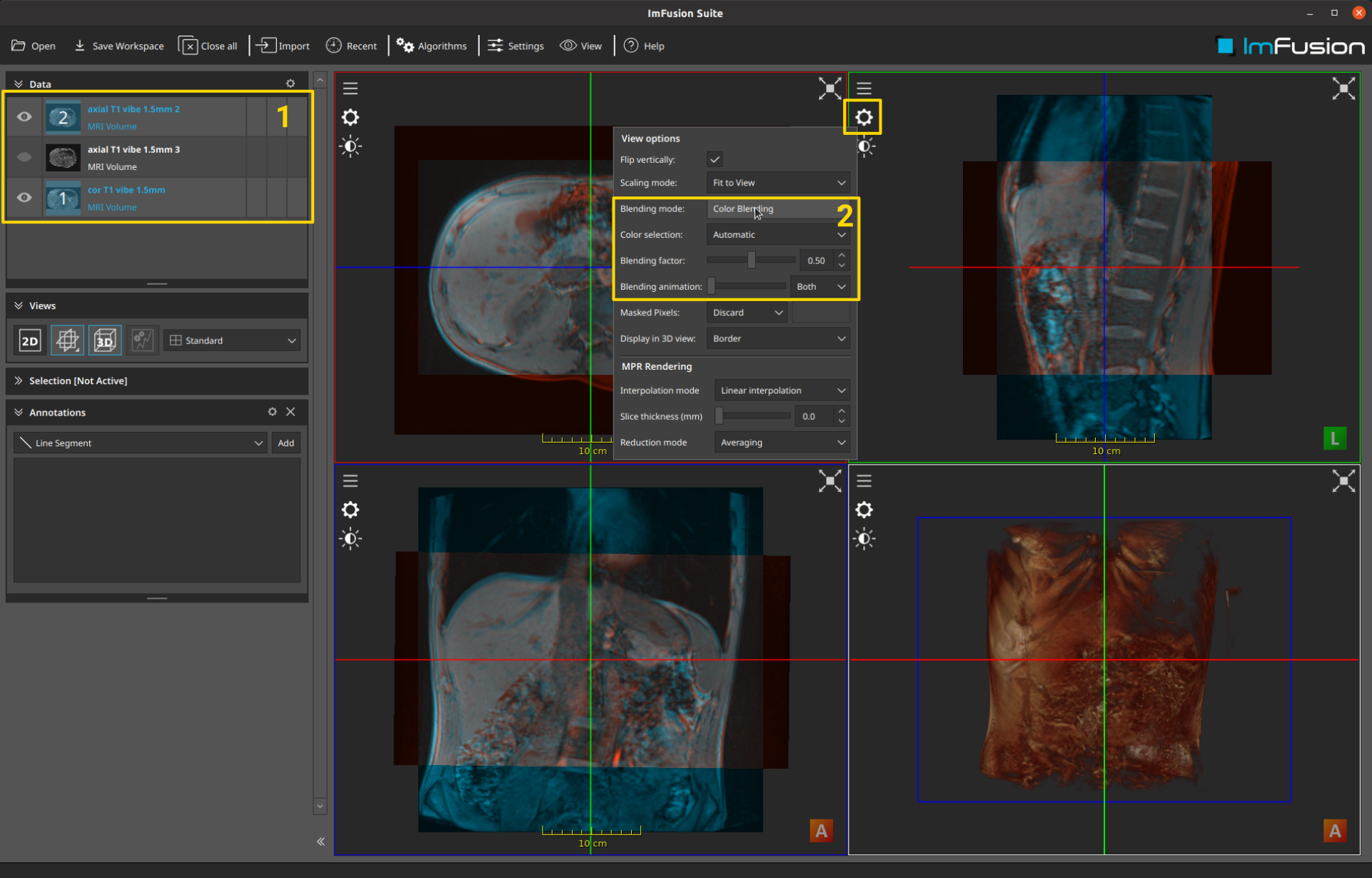 ../_images/views-blending.png